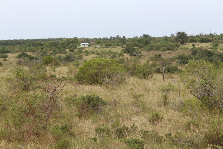 0 Bedroom Property for Sale in Bathurst Eastern Cape
